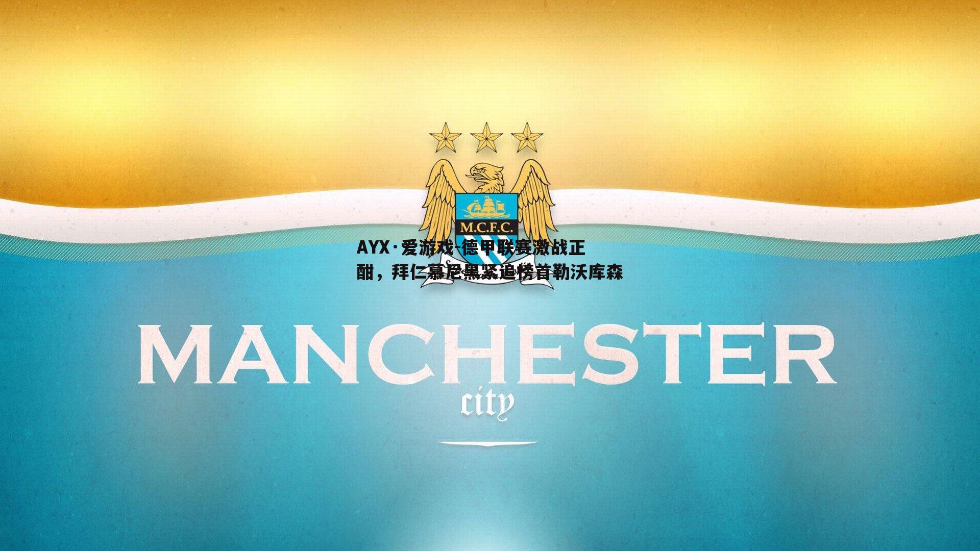 AYX·爱游戏-德甲联赛激战正酣，拜仁慕尼黑紧追榜首勒沃库森